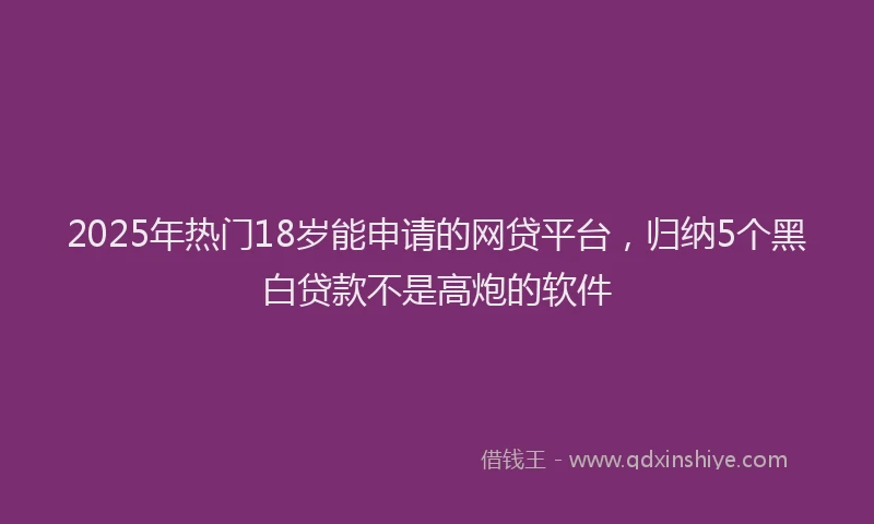 2025年热门18岁能申请的网贷平台，归纳5个黑白贷款不是高炮的软件