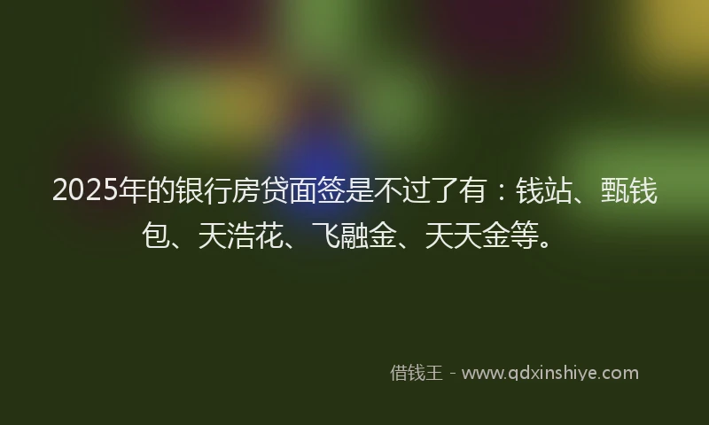 2025年的银行房贷面签是不过了有：钱站、甄钱包、天浩花、飞融金、天天金等。