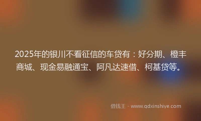 2025年的银川不看征信的车贷有：好分期、橙丰商城、现金易融通宝、阿凡达速借、柯基贷等。