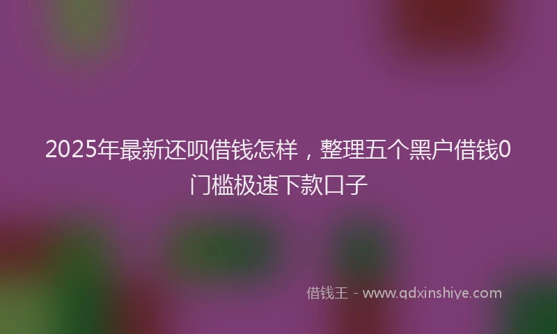 2025年最新还呗借钱怎样，整理五个黑户借钱0门槛极速下款口子