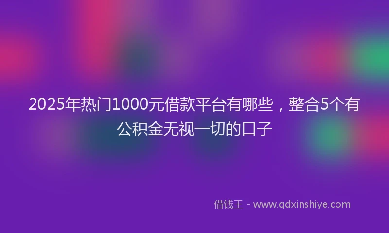 2025年热门1000元借款平台有哪些，整合5个有公积金无视一切的口子
