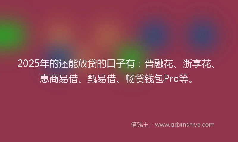 2025年的还能放贷的口子有：普融花、浙享花、惠商易借、甄易借、畅贷钱包Pro等。