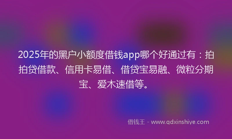 2025年的黑户小额度借钱app哪个好通过有：拍拍贷借款、信用卡易借、借贷宝易融、微粒分期宝、爱木速借等。