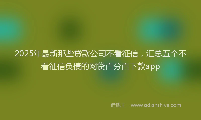 2025年最新那些贷款公司不看征信，汇总五个不看征信负债的网贷百分百下款app