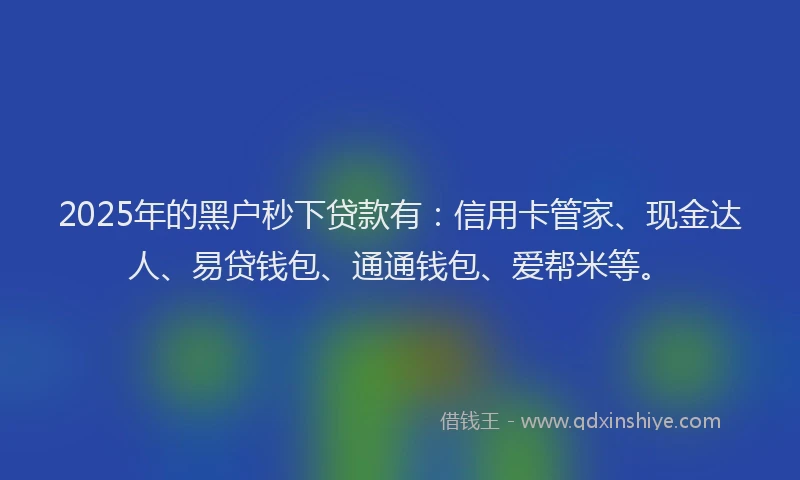 2025年的黑户秒下贷款有：信用卡管家、现金达人、易贷钱包、通通钱包、爱帮米等。