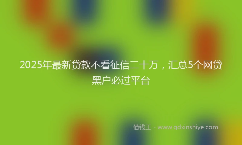2025年最新贷款不看征信二十万，汇总5个网贷黑户必过平台