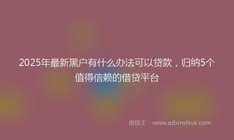 2025年最新黑户有什么办法可以贷款，归纳5个值得信赖的借贷平台