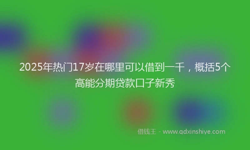 2025年热门17岁在哪里可以借到一千，概括5个高能分期贷款口子新秀