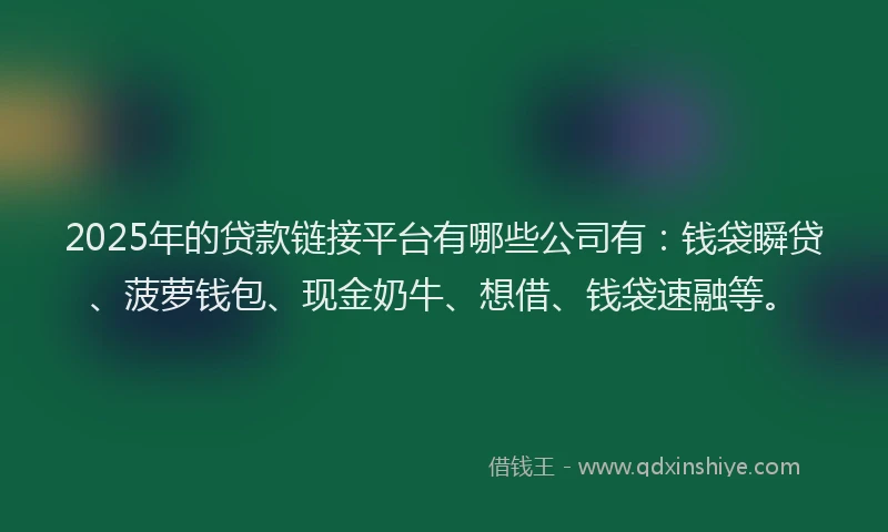 2025年的贷款链接平台有哪些公司有：钱袋瞬贷、菠萝钱包、现金奶牛、想借、钱袋速融等。