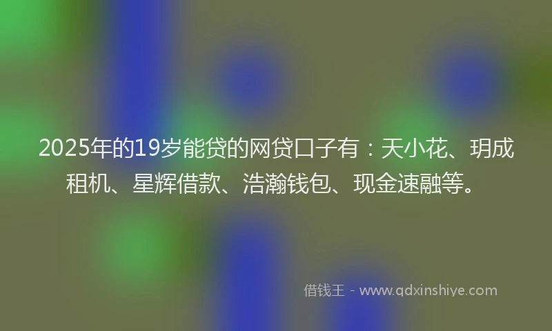 2025年的19岁能贷的网贷口子有：天小花、玥成租机、星辉借款、浩瀚钱包、现金速融等。