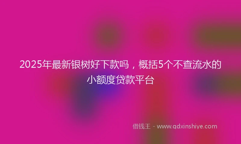 2025年最新银树好下款吗，概括5个不查流水的小额度贷款平台