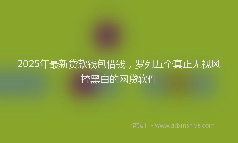 2025年最新贷款钱包借钱，罗列五个真正无视风控黑白的网贷软件