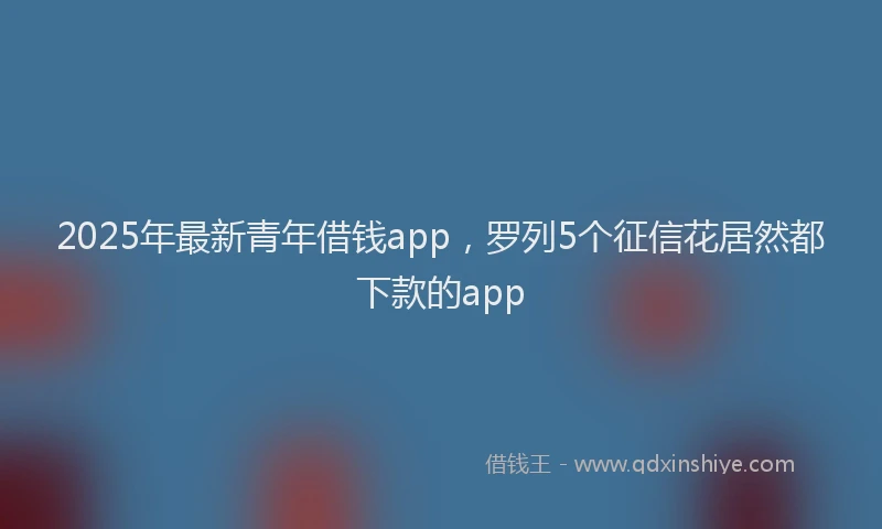 2025年最新青年借钱app，罗列5个征信花居然都下款的app