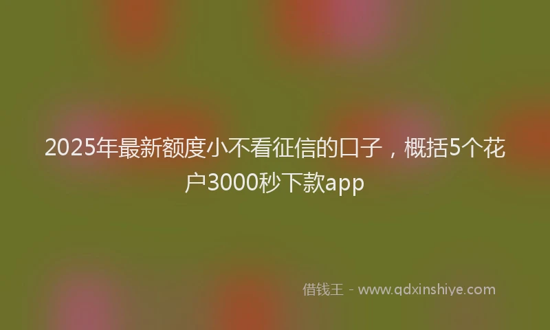 2025年最新额度小不看征信的口子，概括5个花户3000秒下款app