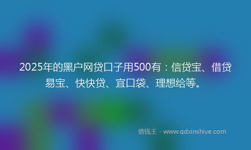 2025年的黑户网贷口子用500有：信贷宝、借贷易宝、快快贷、宜口袋、理想给等。