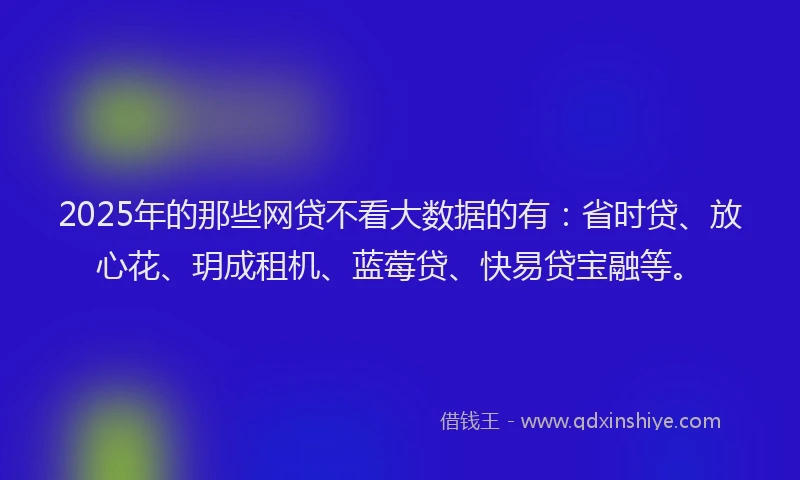 2025年的那些网贷不看大数据的有：省时贷、放心花、玥成租机、蓝莓贷、快易贷宝融等。