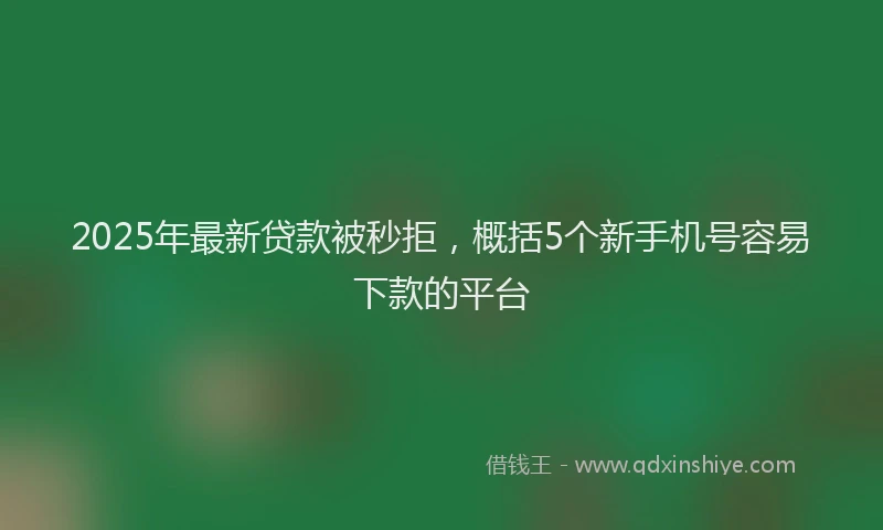 2025年最新贷款被秒拒，概括5个新手机号容易下款的平台