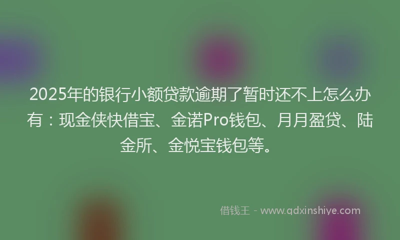 2025年的银行小额贷款逾期了暂时还不上怎么办有：现金侠快借宝、金诺Pro钱包、月月盈贷、陆金所、金悦宝钱包等。
