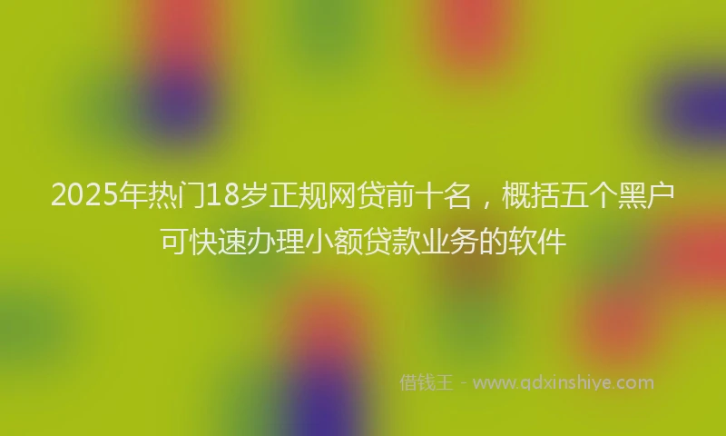 2025年热门18岁正规网贷前十名，概括五个黑户可快速办理小额贷款业务的软件