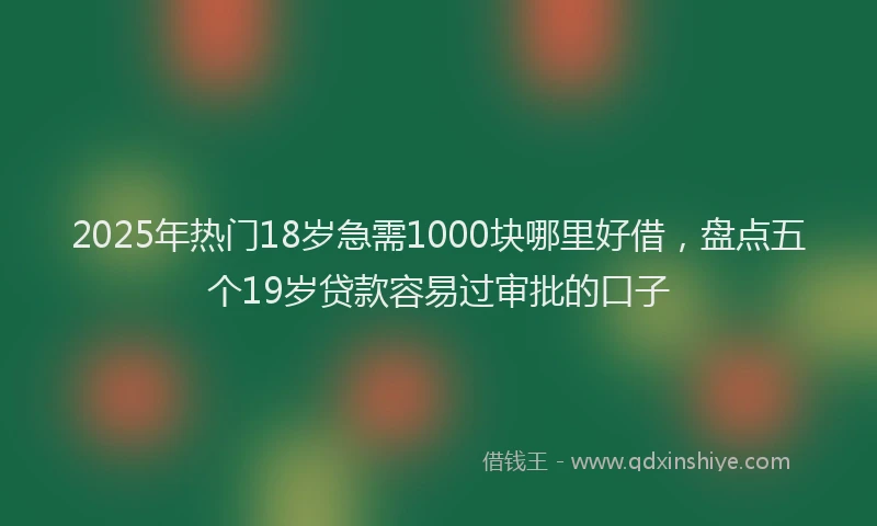 2025年热门18岁急需1000块哪里好借，盘点五个19岁贷款容易过审批的口子