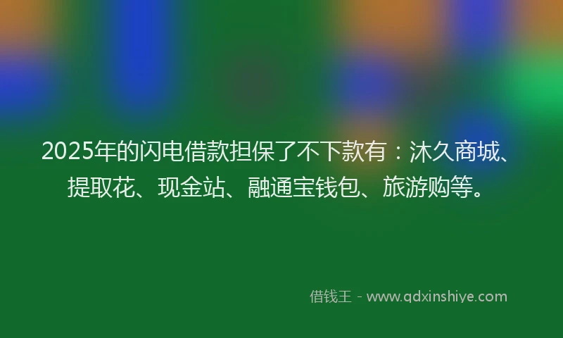 2025年的闪电借款担保了不下款有：沐久商城、提取花、现金站、融通宝钱包、旅游购等。