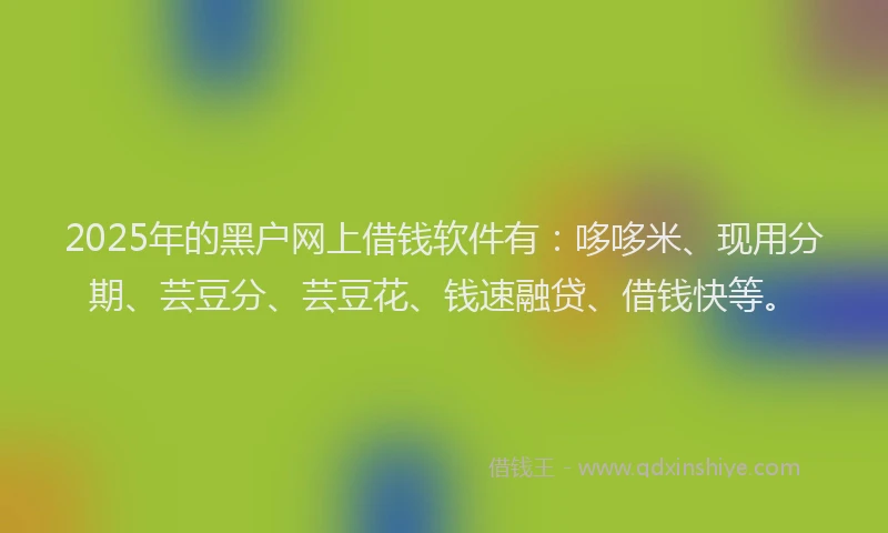 2025年的黑户网上借钱软件有：哆哆米、现用分期、芸豆分、芸豆花、钱速融贷、借钱快等。