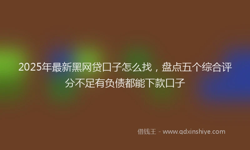 2025年最新黑网贷口子怎么找，盘点五个综合评分不足有负债都能下款口子