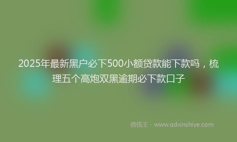 2025年最新黑户必下500小额贷款能下款吗，梳理五个高炮双黑逾期必下款口子