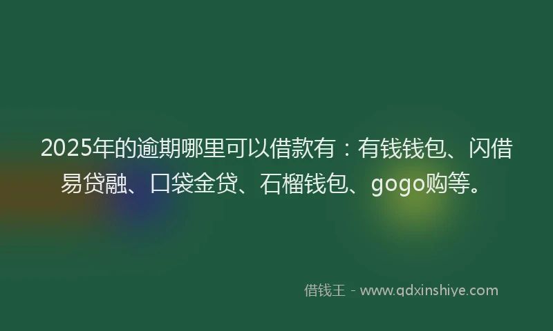2025年的逾期哪里可以借款有：有钱钱包、闪借易贷融、口袋金贷、石榴钱包、gogo购等。