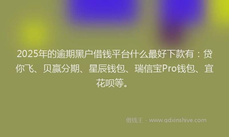 2025年的逾期黑户借钱平台什么最好下款有：贷你飞、贝赢分期、星辰钱包、瑞信宝Pro钱包、宜花呗等。