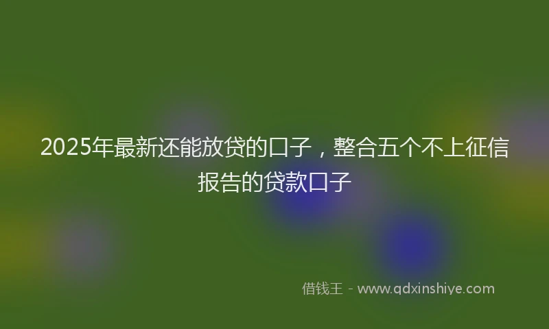 2025年最新还能放贷的口子，整合五个不上征信报告的贷款口子