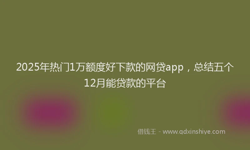2025年热门1万额度好下款的网贷app，总结五个12月能贷款的平台