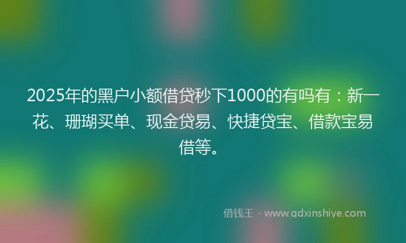 2025年的黑户小额借贷秒下1000的有吗有：新一花、珊瑚买单、现金贷易、快捷贷宝、借款宝易借等。