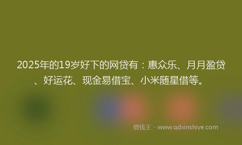 2025年的19岁好下的网贷有：惠众乐、月月盈贷、好运花、现金易借宝、小米随星借等。