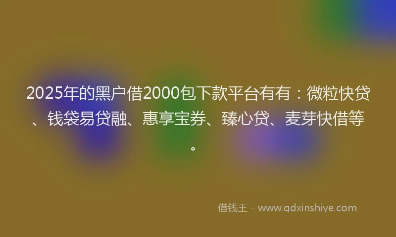 2025年的黑户借2000包下款平台有有：微粒快贷、钱袋易贷融、惠享宝券、臻心贷、麦芽快借等。