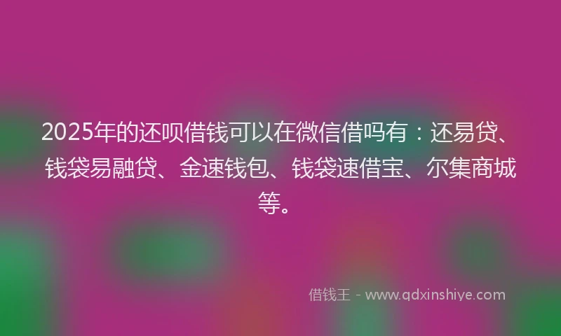 2025年的还呗借钱可以在微信借吗有：还易贷、钱袋易融贷、金速钱包、钱袋速借宝、尔集商城等。