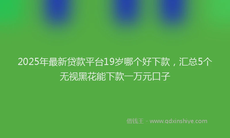 2025年最新贷款平台19岁哪个好下款，汇总5个无视黑花能下款一万元口子