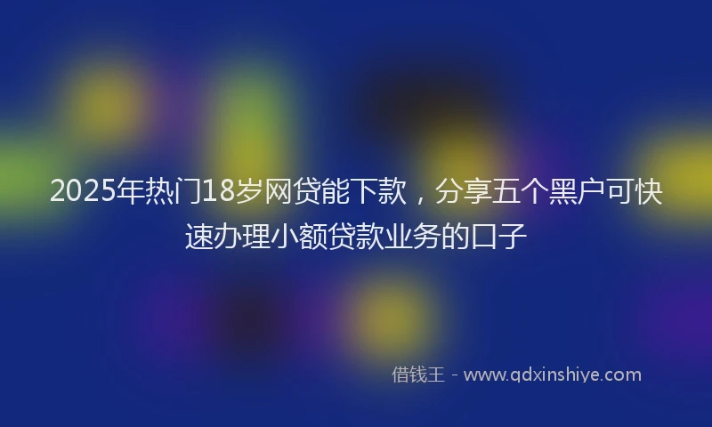 2025年热门18岁网贷能下款，分享五个黑户可快速办理小额贷款业务的口子