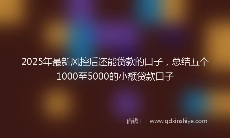 2025年最新风控后还能贷款的口子，总结五个1000至5000的小额贷款口子