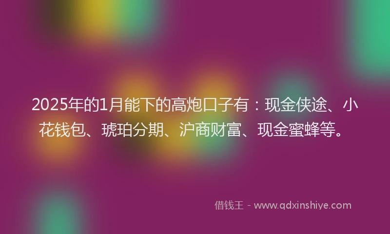 2025年的1月能下的高炮口子有：现金侠途、小花钱包、琥珀分期、沪商财富、现金蜜蜂等。