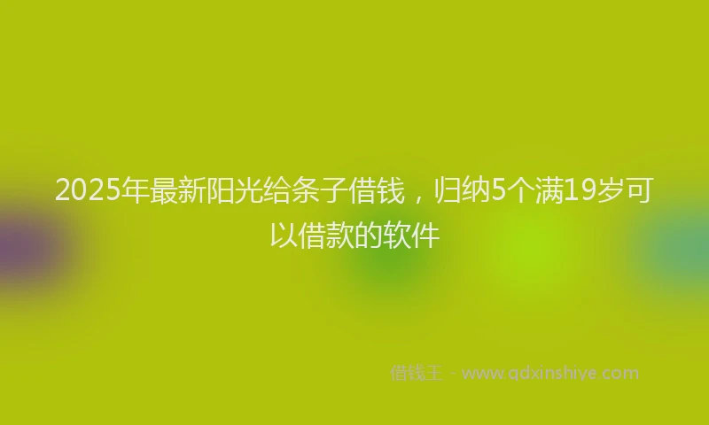 2025年最新阳光给条子借钱，归纳5个满19岁可以借款的软件
