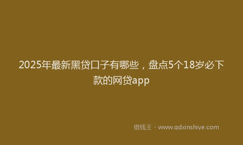 2025年最新黑贷口子有哪些，盘点5个18岁必下款的网贷app