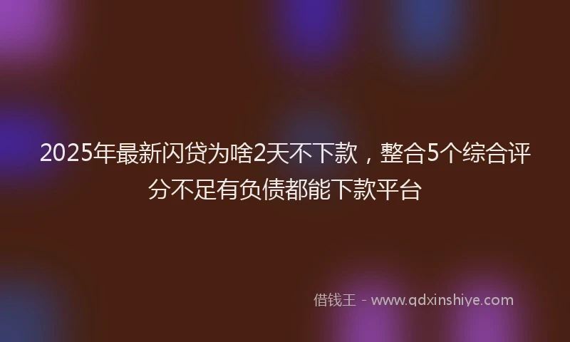 2025年最新闪贷为啥2天不下款，整合5个综合评分不足有负债都能下款平台