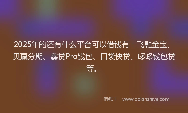 2025年的还有什么平台可以借钱有：飞融金宝、贝赢分期、鑫贷Pro钱包、口袋快贷、哆哆钱包贷等。