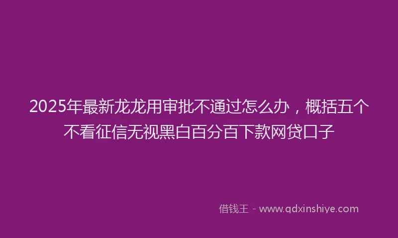 2025年最新龙龙用审批不通过怎么办，概括五个不看征信无视黑白百分百下款网贷口子