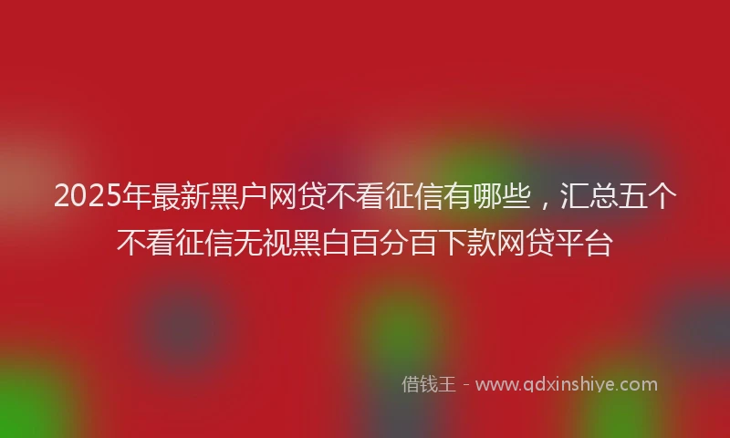 2025年最新黑户网贷不看征信有哪些，汇总五个不看征信无视黑白百分百下款网贷平台
