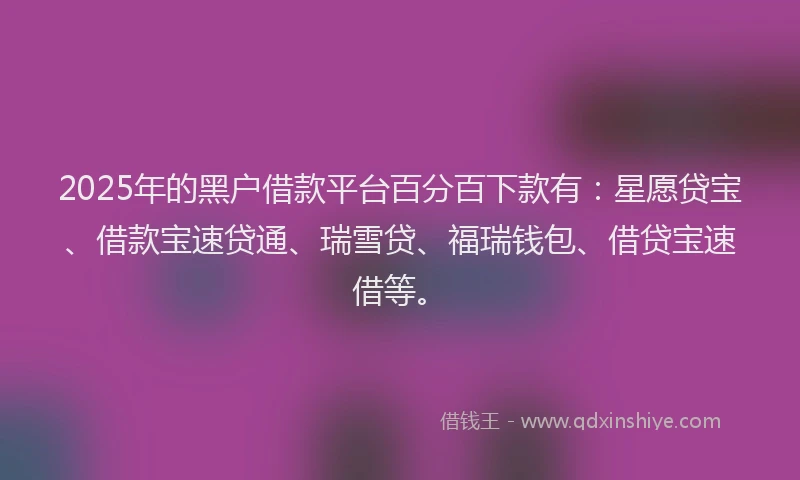 2025年的黑户借款平台百分百下款有：星愿贷宝、借款宝速贷通、瑞雪贷、福瑞钱包、借贷宝速借等。