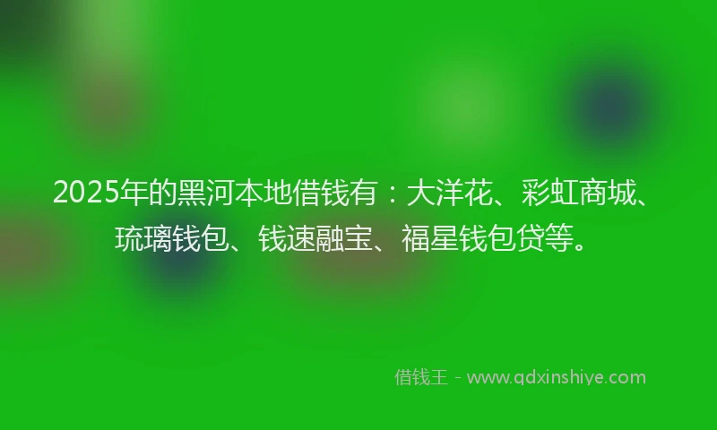 2025年的黑河本地借钱有：大洋花、彩虹商城、琉璃钱包、钱速融宝、福星钱包贷等。