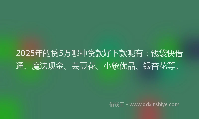 2025年的贷5万哪种贷款好下款呢有：钱袋快借通、魔法现金、芸豆花、小象优品、银杏花等。