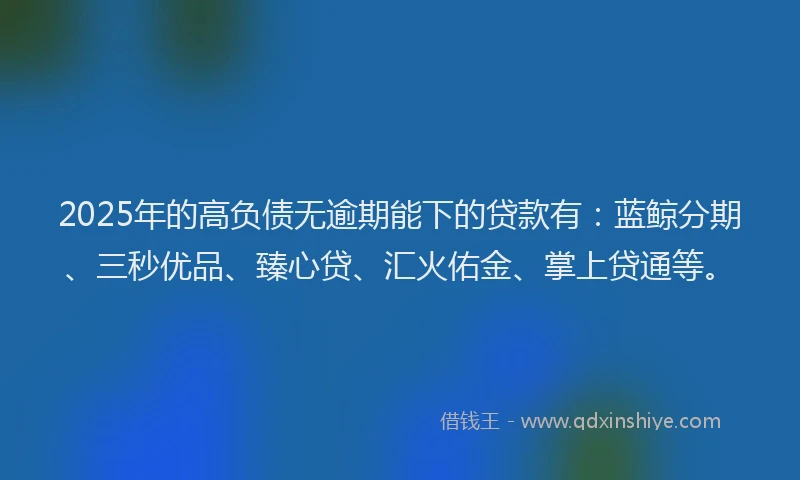 2025年的高负债无逾期能下的贷款有:蓝鲸分期、三秒优品、臻心贷、汇火佑金、掌上贷通等。